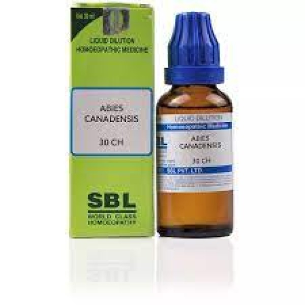 Abies Canadensis